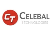 Celebal Tech Pvt Ltd Logo