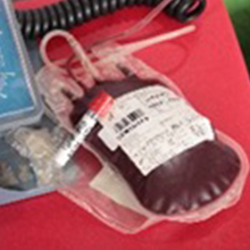 blood bag